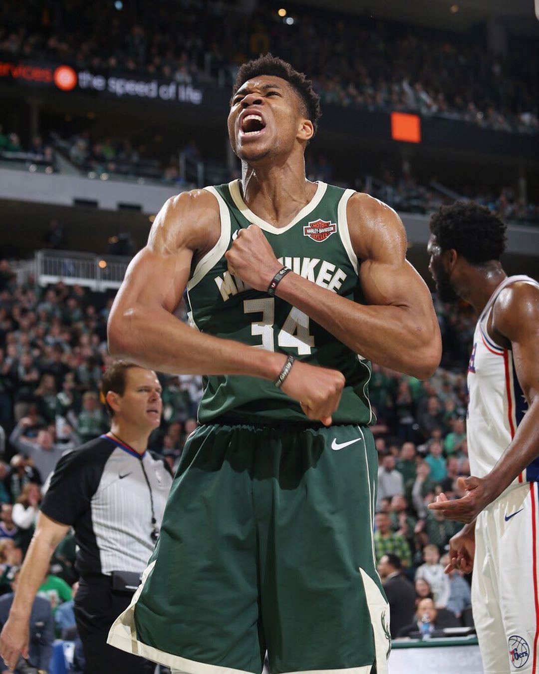 B冷跟构成 B冷跟构成