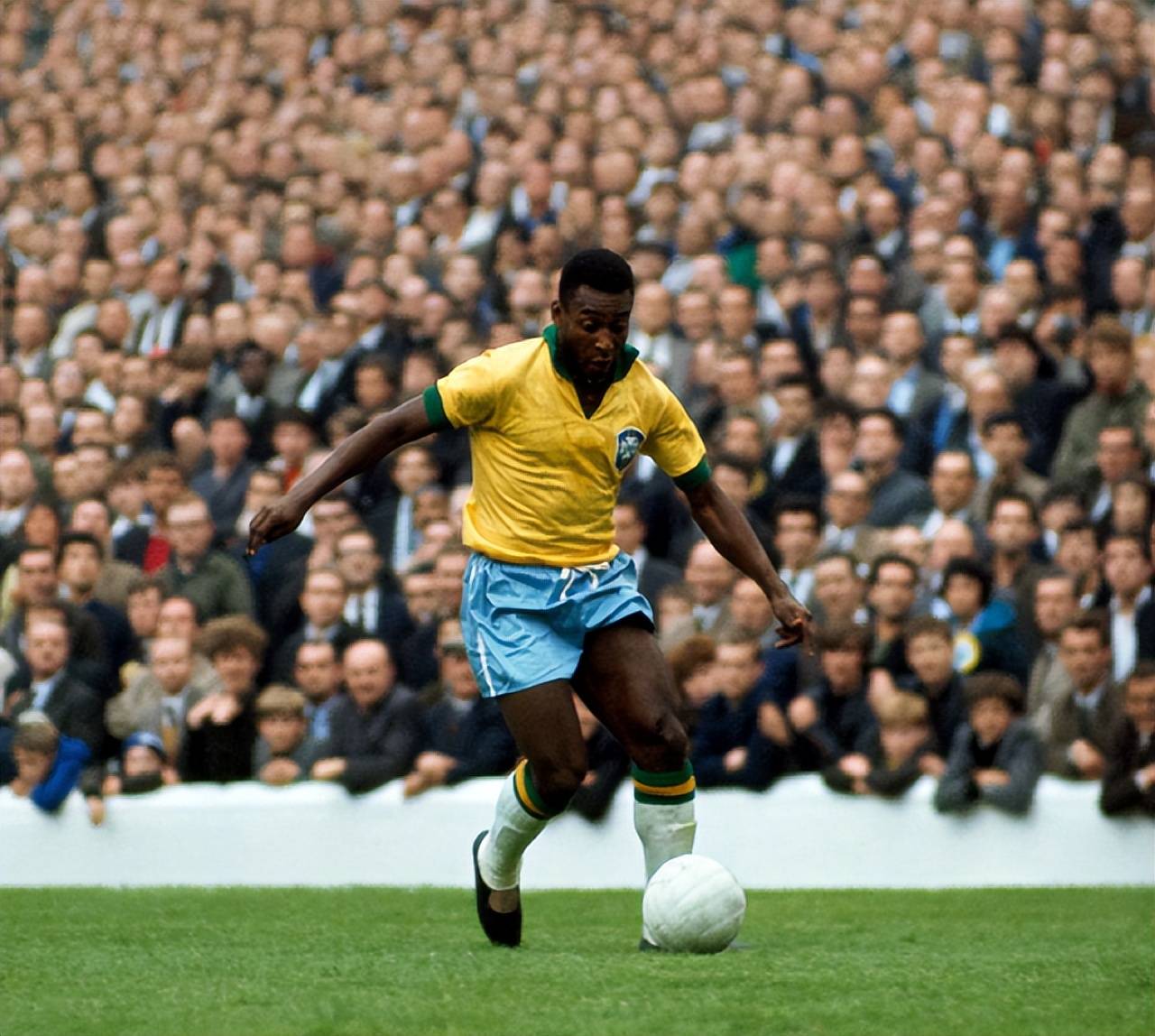 用简明数据 用简明数据